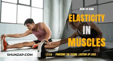 Unlock Muscle Flexibility: Effective Techniques to Enhance Elasticity and Mobility