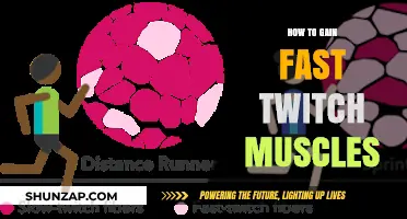 Unlock Explosive Power: Proven Strategies to Build Fast Twitch Muscles