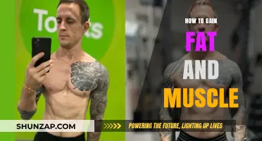 Effective Strategies for Gaining Healthy Fat and Muscle Mass Quickly