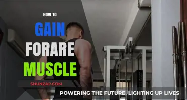 Effective Strategies to Build Forearm Muscles: Strengthen and Tone Fast