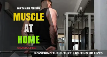 Effective Home Workouts to Build Stronger Forearm Muscles Fast