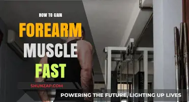 Effective Forearm Muscle Building: Quick Tips for Rapid Strength Gains