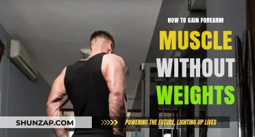 Build Stronger Forearms: Effective No-Weight Muscle-Building Techniques Revealed