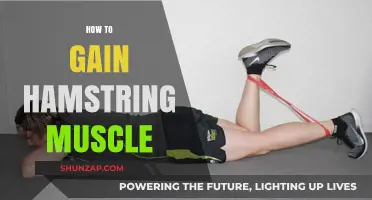 Effective Hamstring Muscle Building: Tips, Exercises, and Strategies for Growth