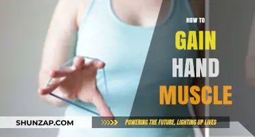 Effective Hand Muscle Building: Strengthen Your Grip with These Proven Techniques