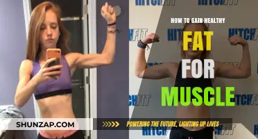 Fuel Your Muscles: Strategies for Healthy Fat Gain and Strength