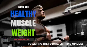 Effective Strategies for Healthy Muscle Gain and Strength Building