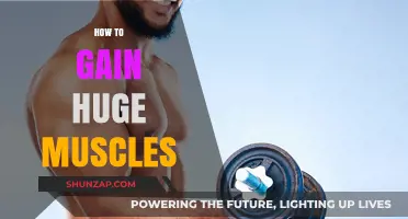 Maximize Muscle Growth: Proven Strategies for Building Huge Muscles Fast