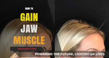 Sculpt a Stronger Jawline: Effective Exercises for Jaw Muscle Growth