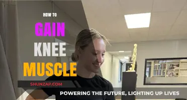 Strengthen Your Knees: Effective Exercises to Build Knee Muscle