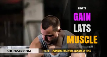 Effective Lats Muscle Building: Proven Techniques for Wider Back Strength