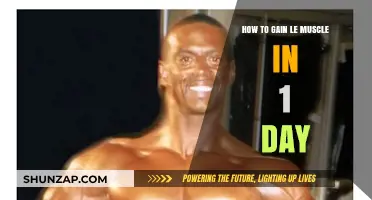 Quick Muscle Gains: 1-Day Strategies for Visible Results Fast