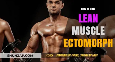 Ectomorph's Guide: Effective Strategies to Build Lean Muscle Mass
