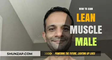 Effective Strategies for Men to Build Lean Muscle Mass