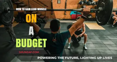 Affordable Muscle Building: Smart Strategies for Lean Gains on a Budget