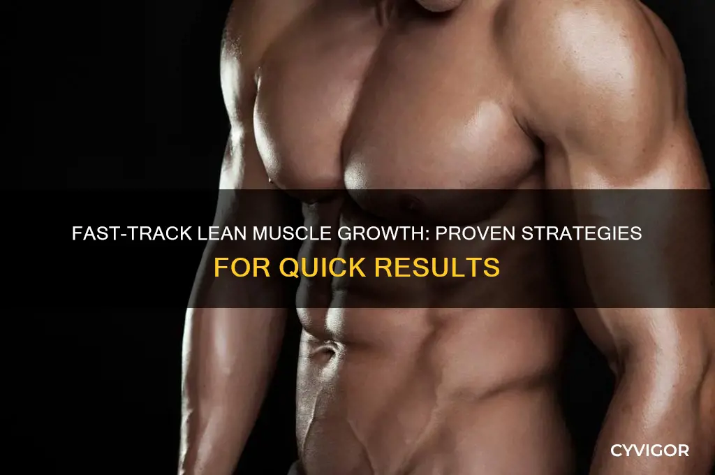how to gain lean muscle quickly