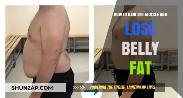 Sculpt Strong Legs, Shed Belly Fat: Effective Strategies for a Leaner You