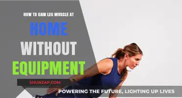 Build Stronger Legs at Home: Equipment-Free Muscle-Building Tips
