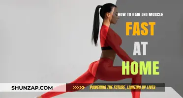Effective Home Workouts for Building Leg Muscle Quickly and Safely