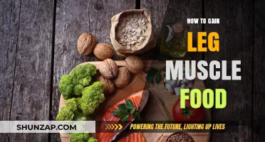 Fuel Your Leg Gains: Top Muscle-Building Foods for Stronger Legs