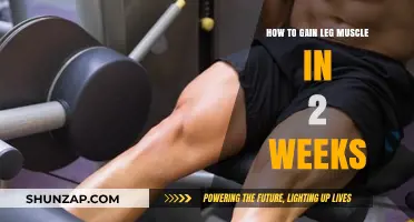 Quick Leg Muscle Gains: 2-Week Effective Workout Strategies
