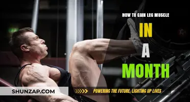 Effective Strategies to Build Stronger Leg Muscles in Just 30 Days