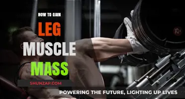 Effective Strategies to Build Stronger, Bigger Leg Muscles Fast