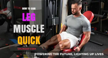 Fast-Track Leg Muscle Growth: Proven Strategies for Quick Results