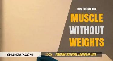 Build Stronger Legs: Effective Bodyweight Exercises for Muscle Growth