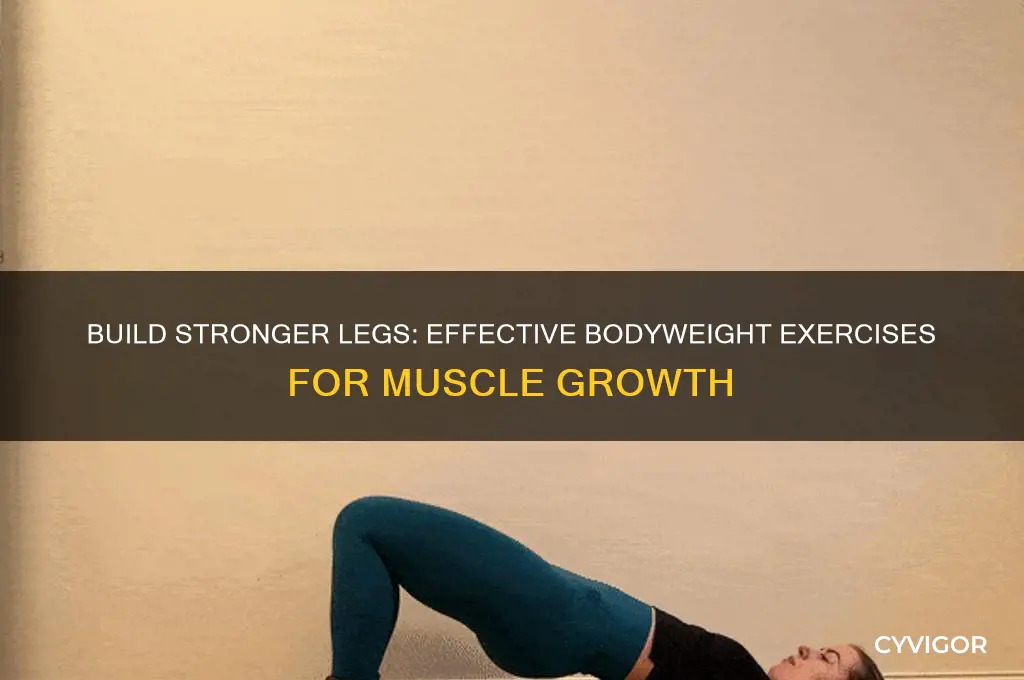 how to gain leg muscle without weights