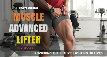Advanced Leg Muscle Building: Strategies for Experienced Lifters to Grow Stronger