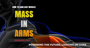 Rebuild Arm Strength: Effective Strategies to Regain Lost Muscle Mass