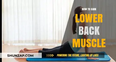 Strengthen Your Lower Back: Effective Exercises for Building Muscle