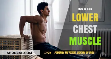 Sculpt Your Lower Chest: Effective Exercises for a Defined Physique