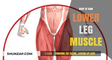 Effective Lower Leg Muscle Building: Tips and Exercises for Strength