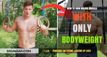 Build Massive Muscle Anywhere: Ultimate Bodyweight Training Guide