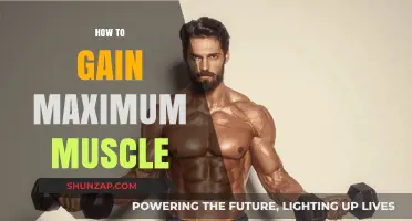 Maximize Muscle Growth: Proven Strategies for Optimal Results