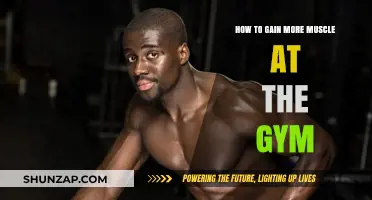 Maximize Muscle Growth: Proven Gym Strategies for Strength and Size