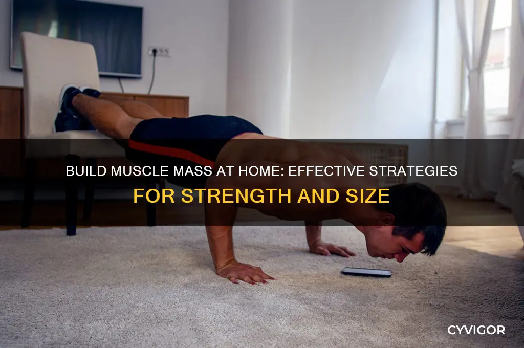 how to gain more muscle mass at home