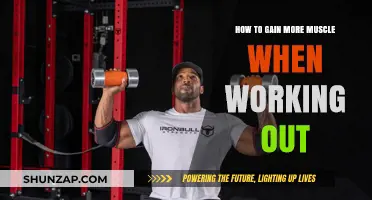 Maximize Muscle Growth: Proven Strategies for Effective Workouts