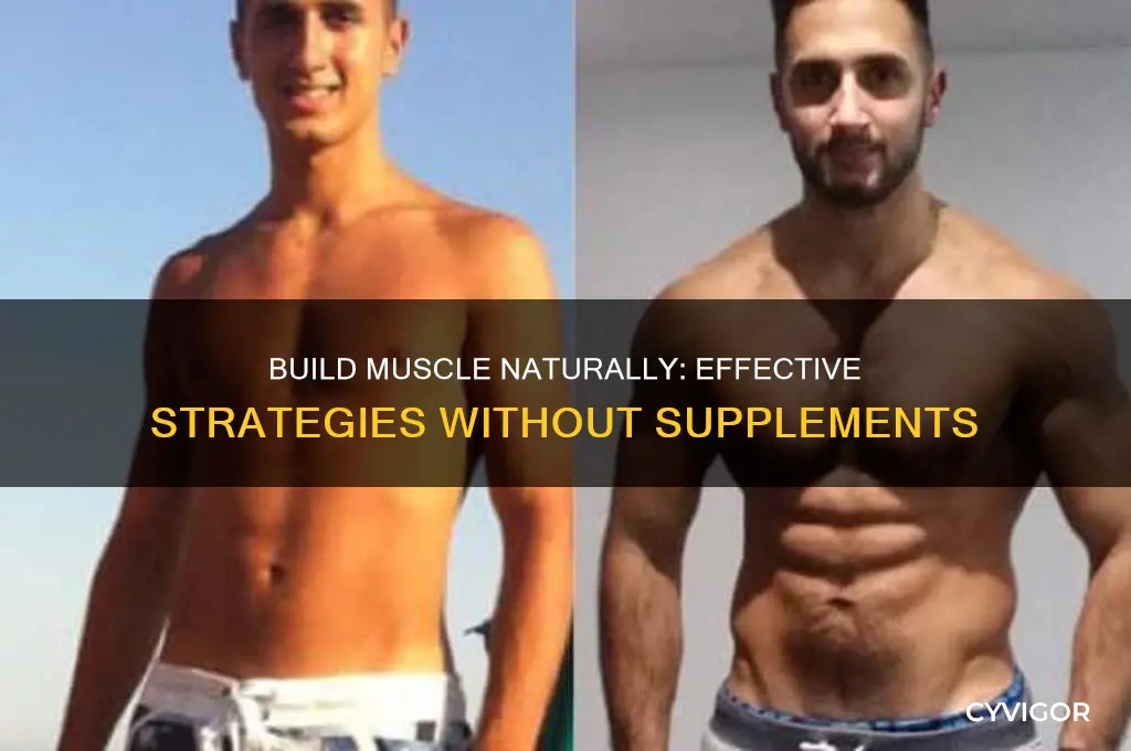how to gain more muscle without supplements