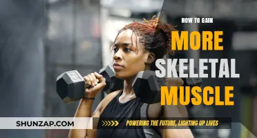 Effective Strategies to Build and Strengthen Skeletal Muscle Mass