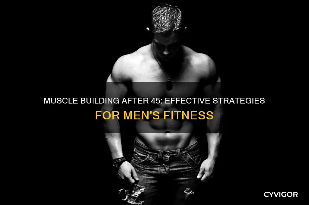 how to gain muscle after 45 male