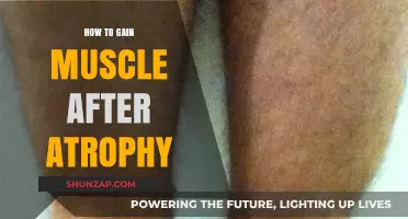 Rebuilding Strength: Effective Strategies to Gain Muscle After Atrophy