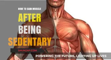 Revive and Rebuild: Gaining Muscle After a Sedentary Lifestyle