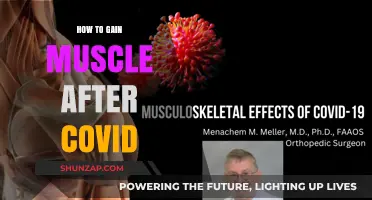 Rebuilding Strength: Effective Strategies to Gain Muscle Post-COVID Recovery