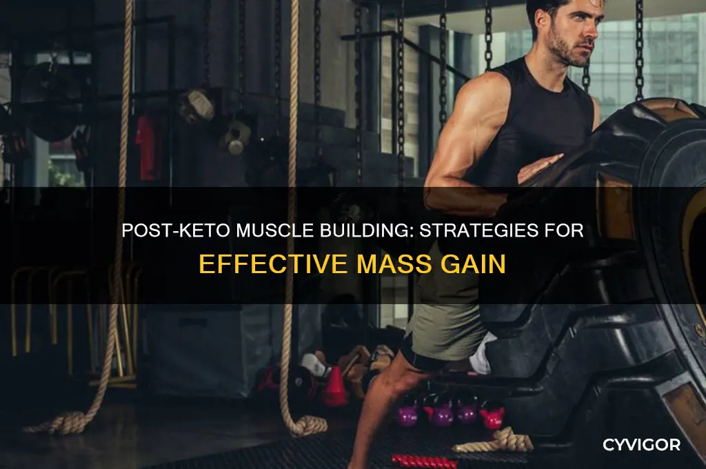 how to gain muscle after keto