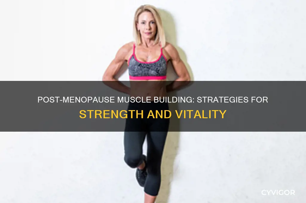 how to gain muscle after menopause