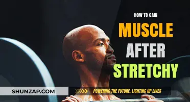 Rebuilding Strength: Effective Strategies to Gain Muscle Post-Stretchy Phase
