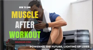 Maximize Muscle Growth: Post-Workout Strategies for Effective Recovery and Gains